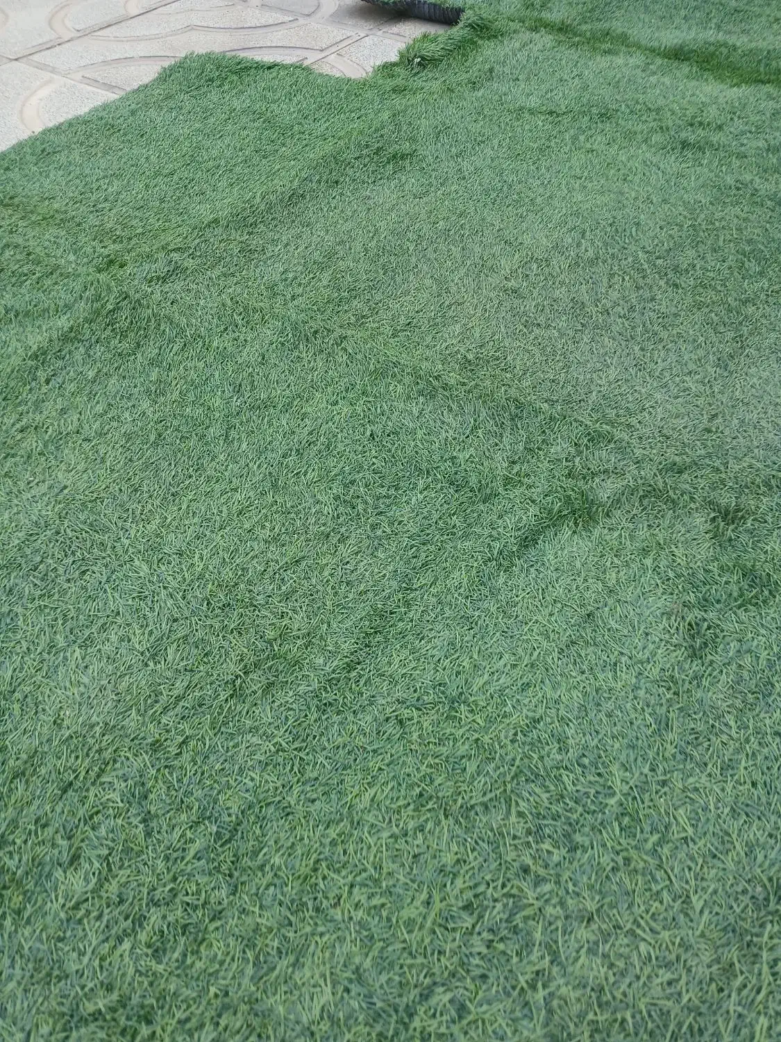 چمن مصنوعی|گل مصنوعی|آبیک, |دیوار