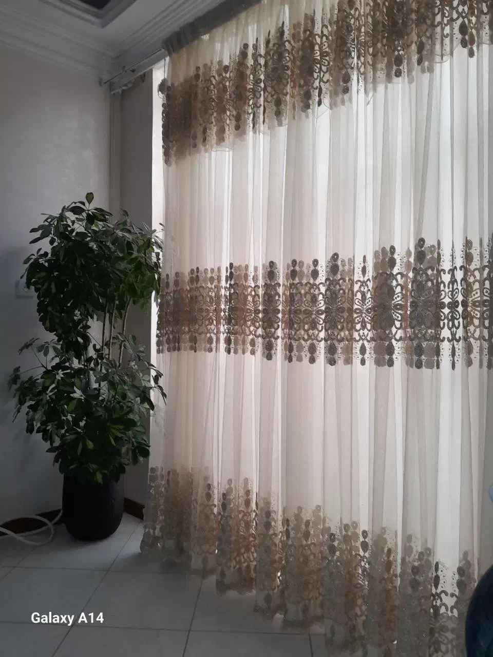 پرده|پرده، رانر، رومیزی|مشهد, شهرآرا|دیوار