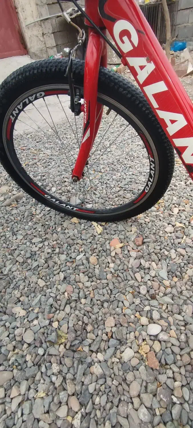 دوچرخه 24|دوچرخه، اسکیت، اسکوتر|جیرفت, |دیوار