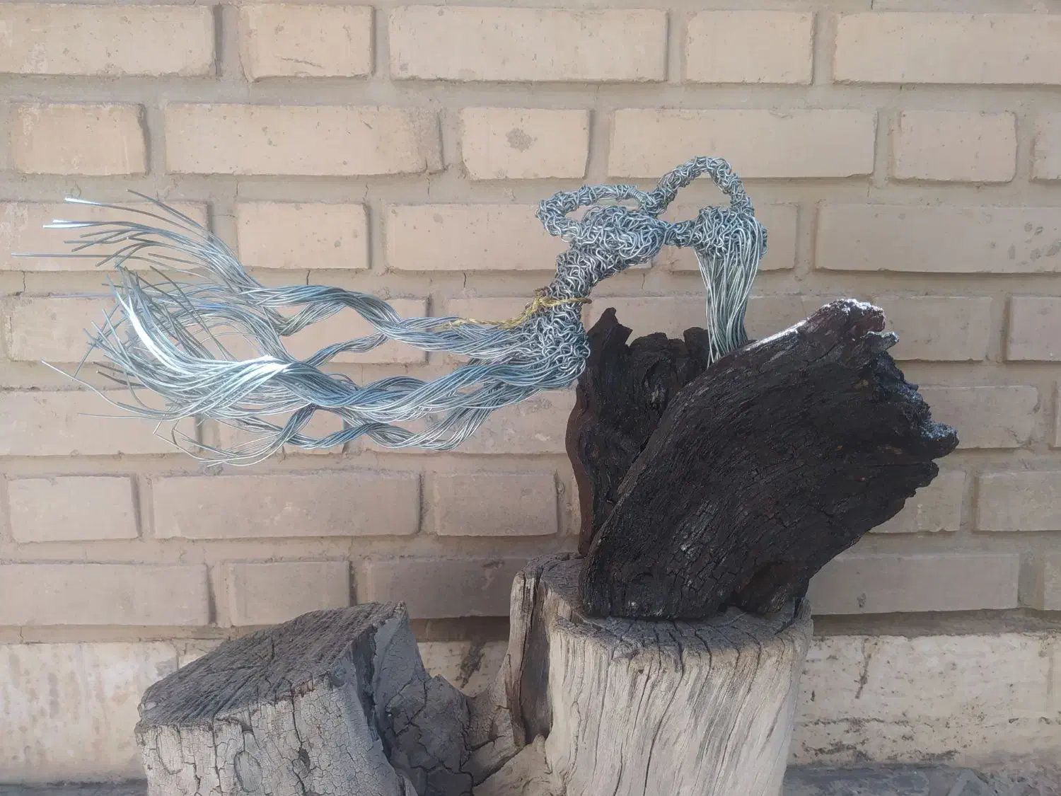 انجام سفارش انواع مجسمه سیمی+ آموزش|مجسمه، تندیس، ماکت|شیراز, اصلاح‌نژاد|دیوار