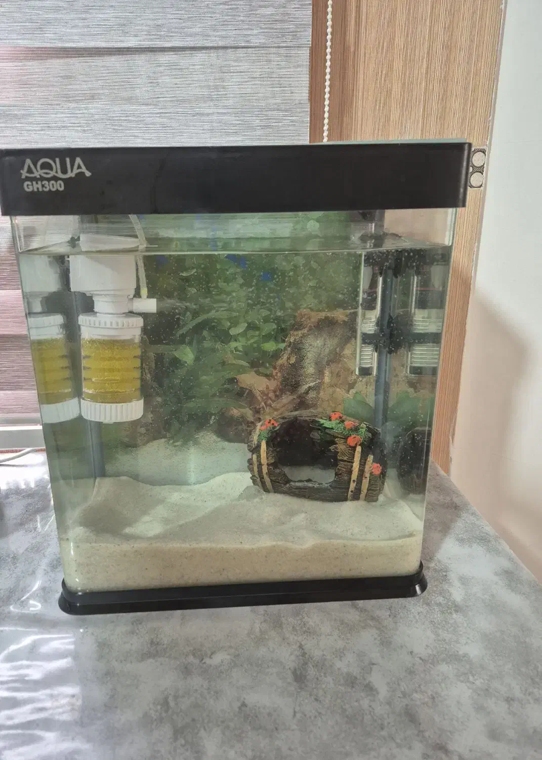 آکواریوم|ماهی|پاکدشت, پاکدشت (مامازند)|دیوار