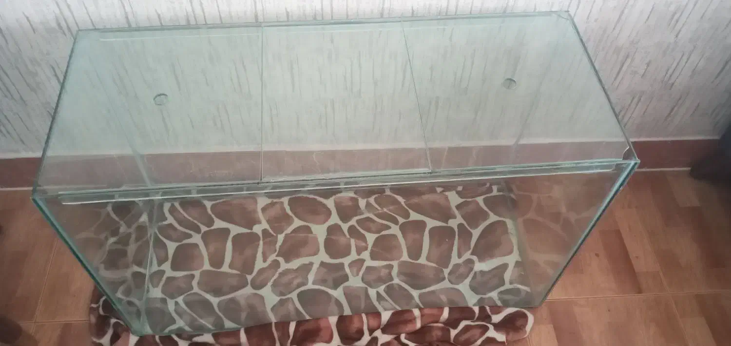 اکواریوم|لوازم جانبی حیوانات|خوی, |دیوار