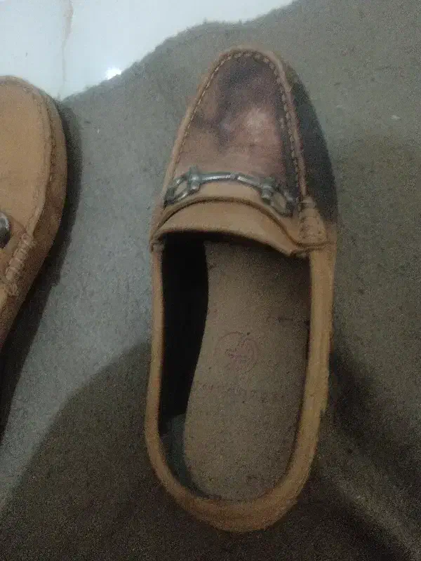 کفش کالج|کیف، کفش، کمربند|رشت, استادسرا|دیوار