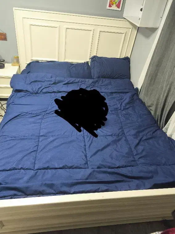 سرویس خواب دونفره|تخت و سرویس خواب|رشت, گلزاران|دیوار