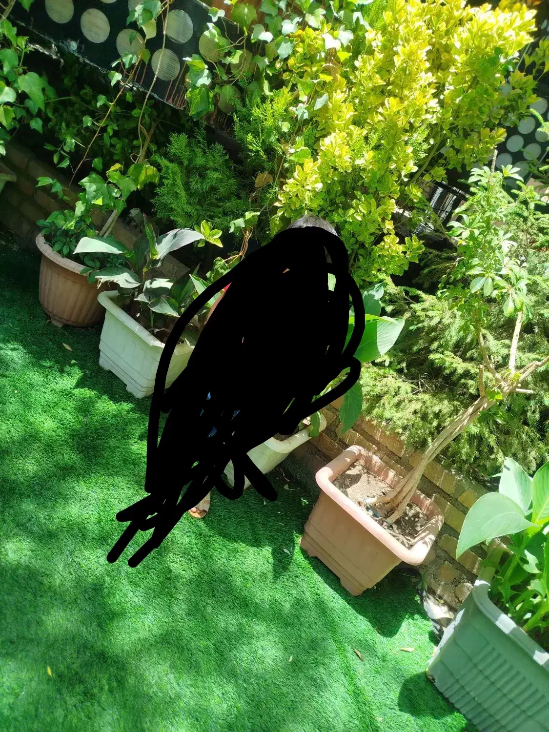 نضافت و تمیز کاری ورنگ امیزی|خدمات نظافت|چمران, |دیوار