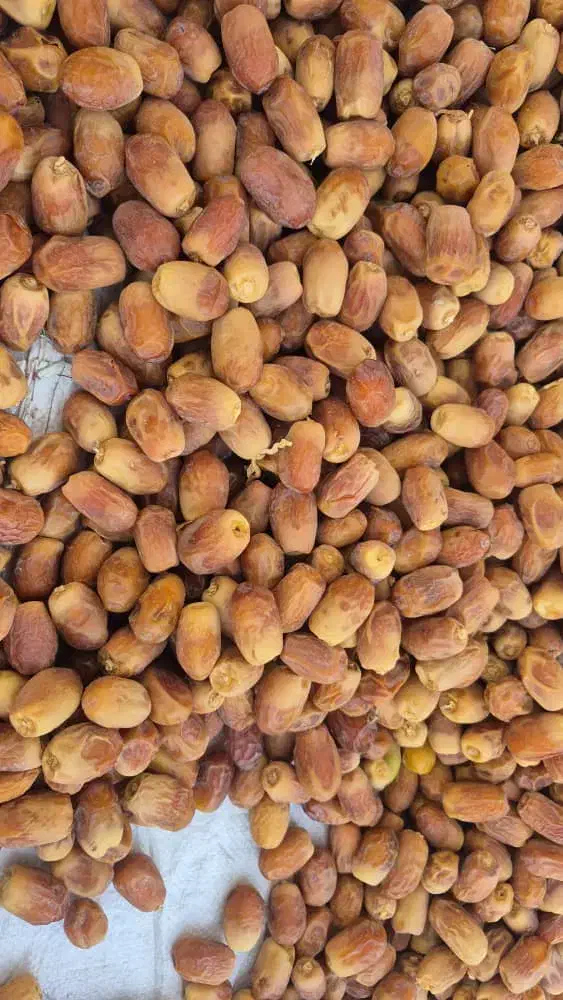 فروش خرمای زاهدی(قصب)|خوردنی و آشامیدنی|اسیر, |دیوار