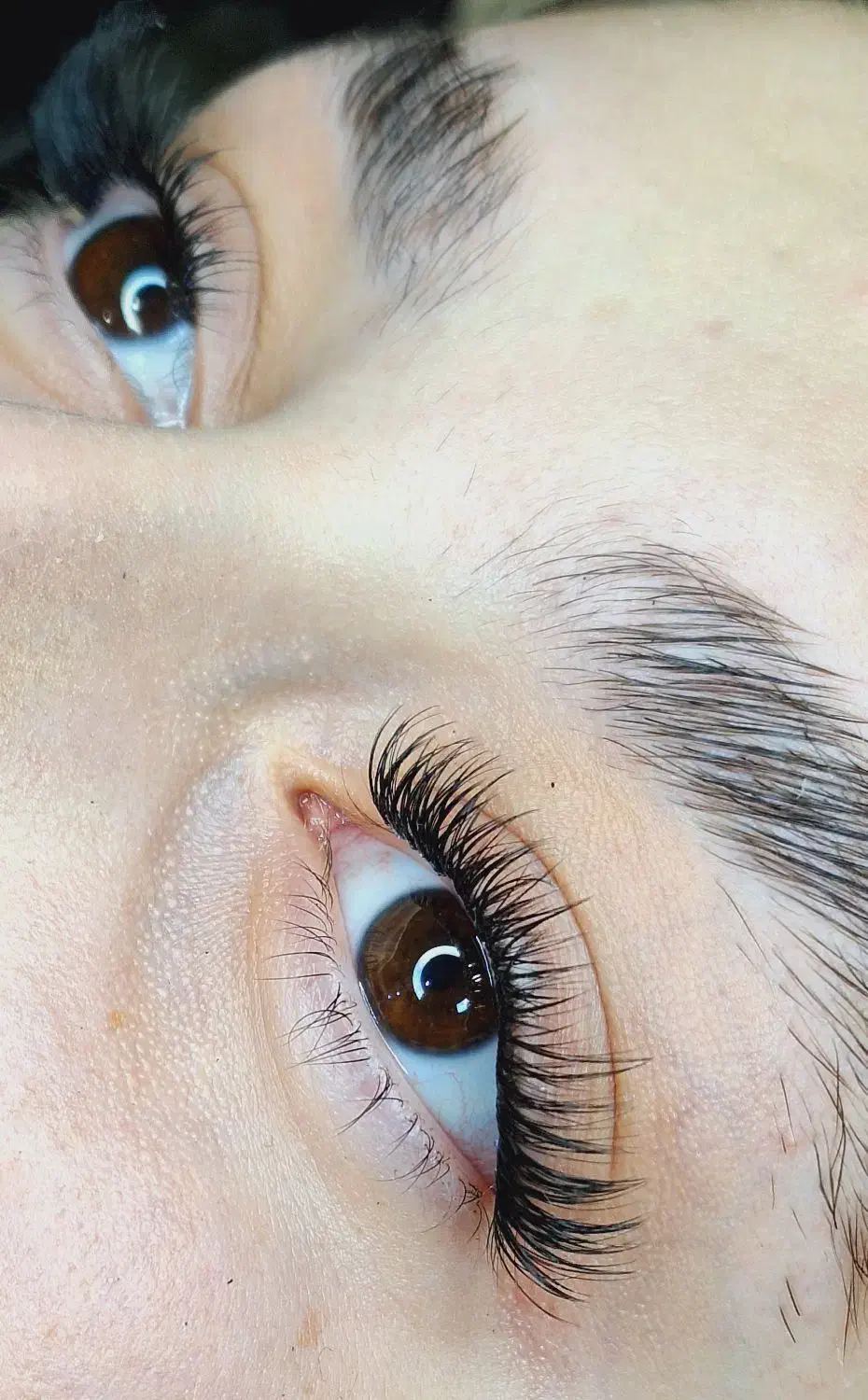 تخفیف ویژه کاشت مژه|خدمات آرایشگری و زیبایی|ایلام, |دیوار