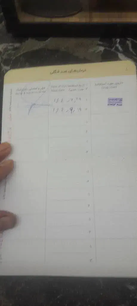 توله شیتزو ماده مهربون بازیگوش حرف گوش کن|سگ|کرج, حصارک بالا|دیوار