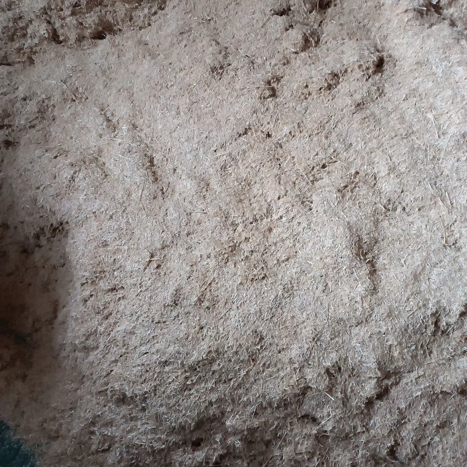 کاه گندم و جو|لوازم جانبی حیوانات|سیلوانه, |دیوار