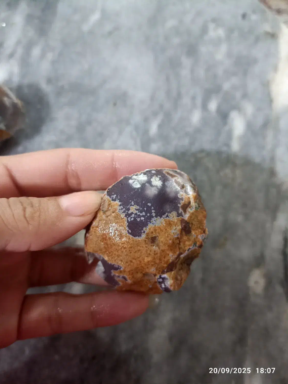 عقیق یاسی فردوس|جواهرات|گرگان, |دیوار