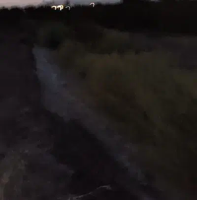 زمین تجاری خوش نقشه|فروش مغازه و غرفه|راور, |دیوار