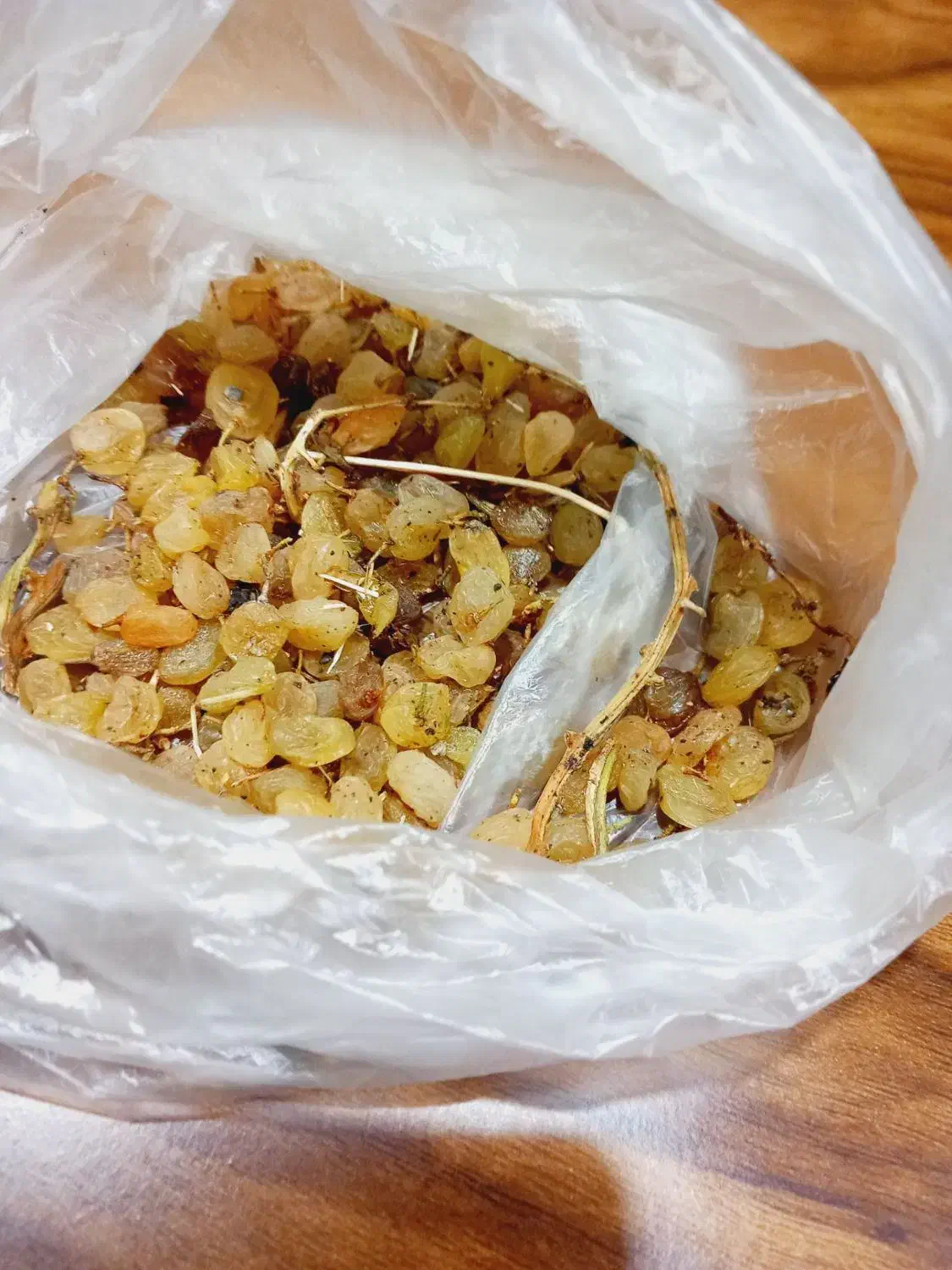 کشمش سبزه انگوری(دودی)تیزابی|حراج|ملایر, |دیوار