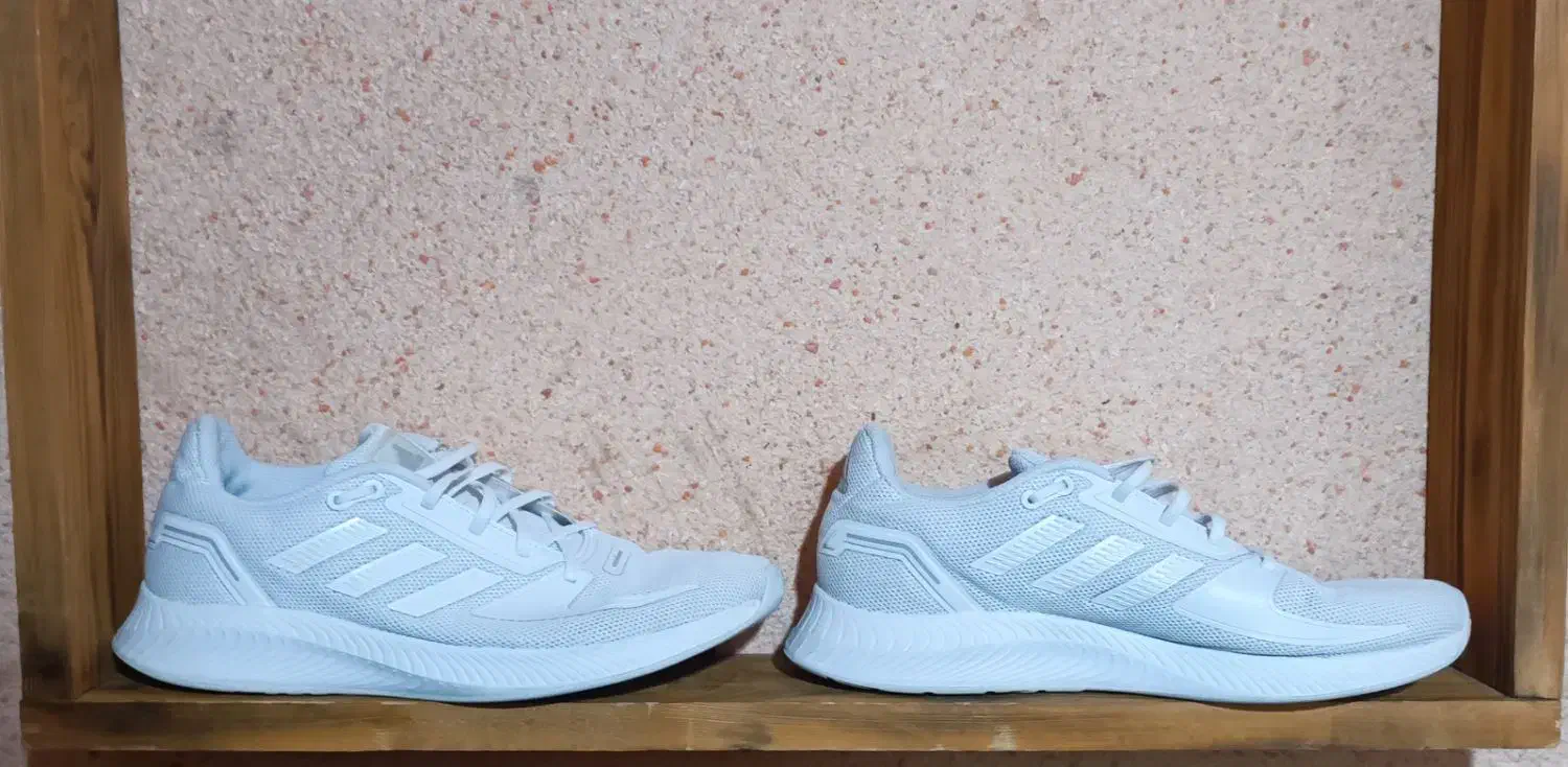 کفش اورجینال|کیف، کفش، کمربند|چرداول, |دیوار