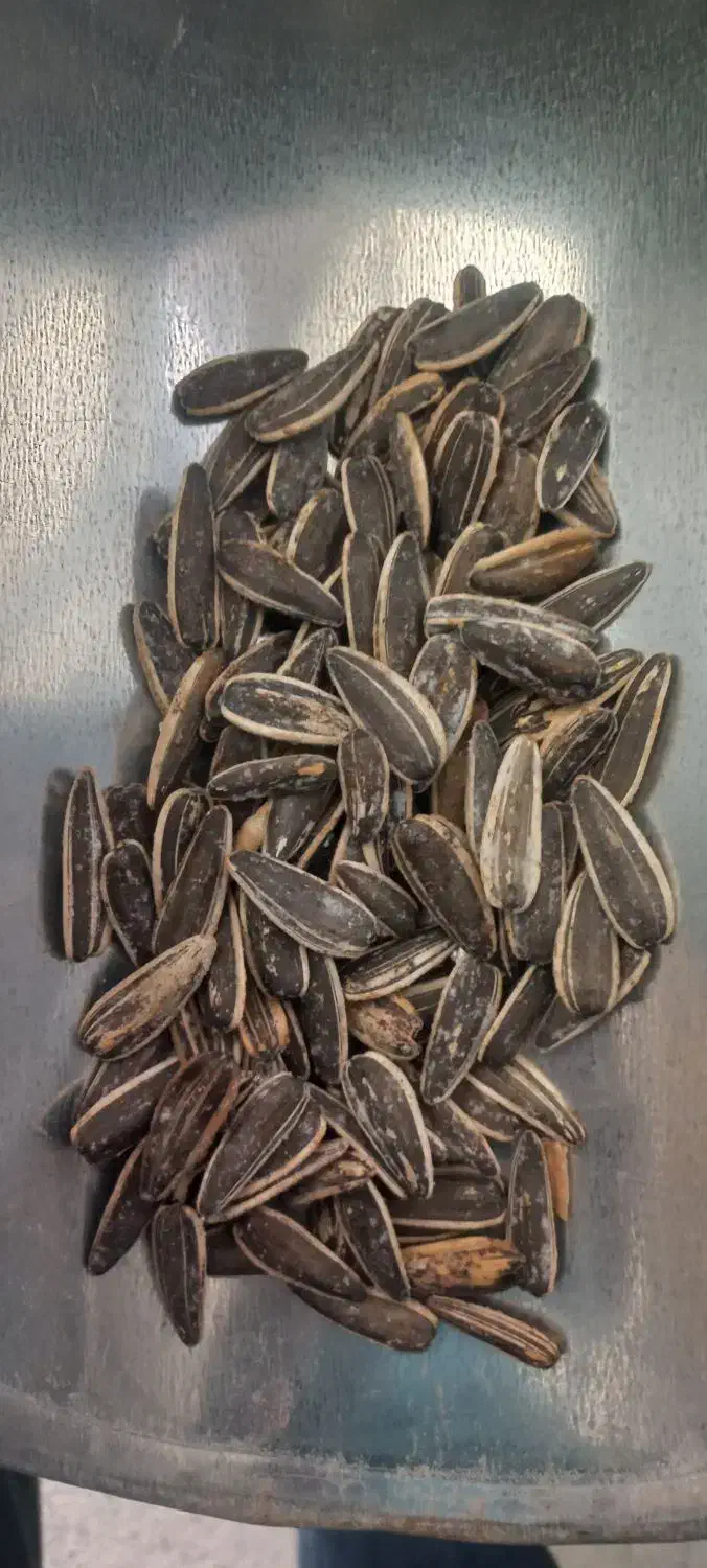 خشکبار لوکس مهتا|خوردنی و آشامیدنی|ورامین, ورامین|دیوار