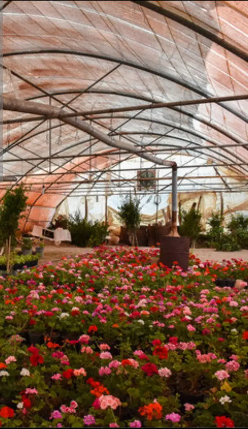 خاک سیاه و جوی میمی، ماسه باغچه ، کود کهنه گاوی|خدمات باغبانی و درختکاری|مشهد, توس (بلوار توس)|دیوار