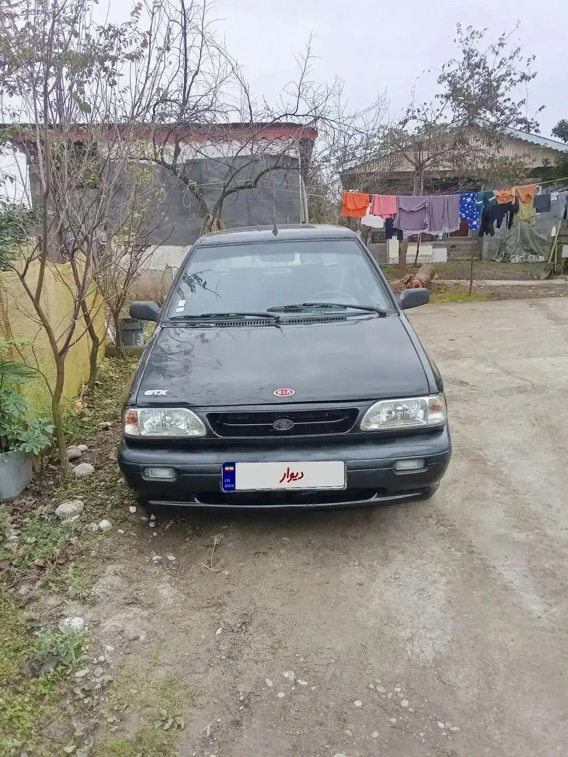 پراید مدل 84 شاسی سالم چهار لکه رنگ|خودرو سواری و وانت|رشت, بیجارپس|دیوار