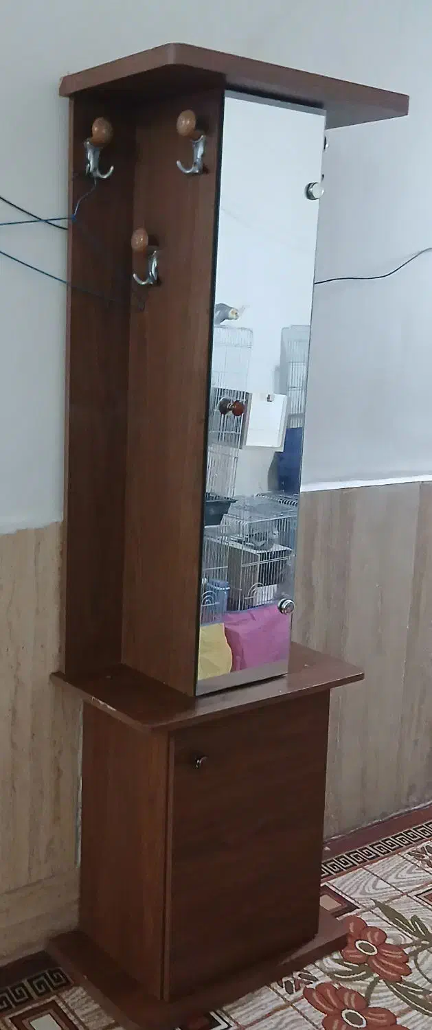 جاکفشی آینه دار و چوب لباسی|جاکفشی، کمد، دراور|قم, دورشهر|دیوار