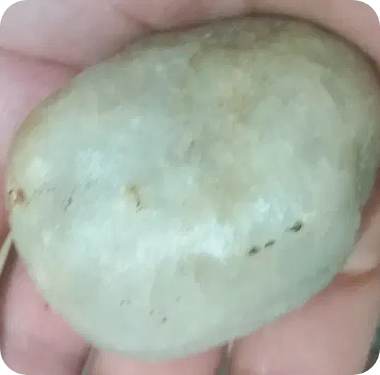 سنگ الماس،صورتی و یاقوت|جواهرات|مشهد, عنصری|دیوار