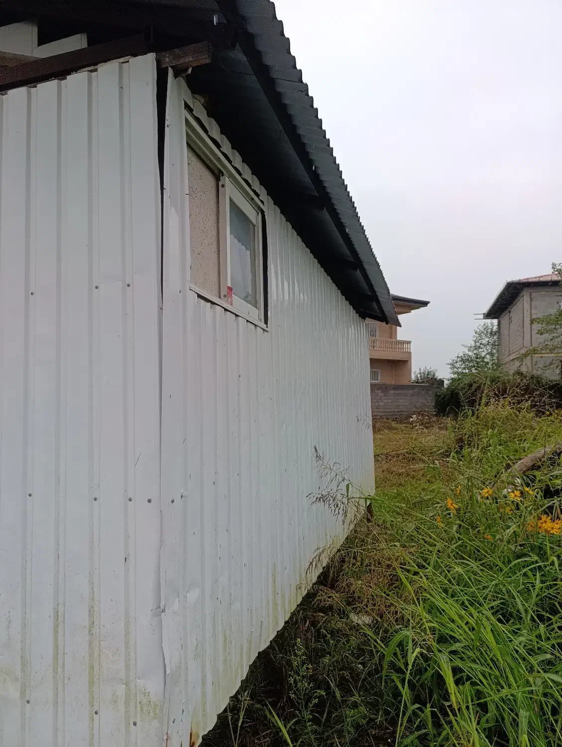 کانکس دست ساز|مصالح و تجهیزات ساختمان|چابکسر, |دیوار