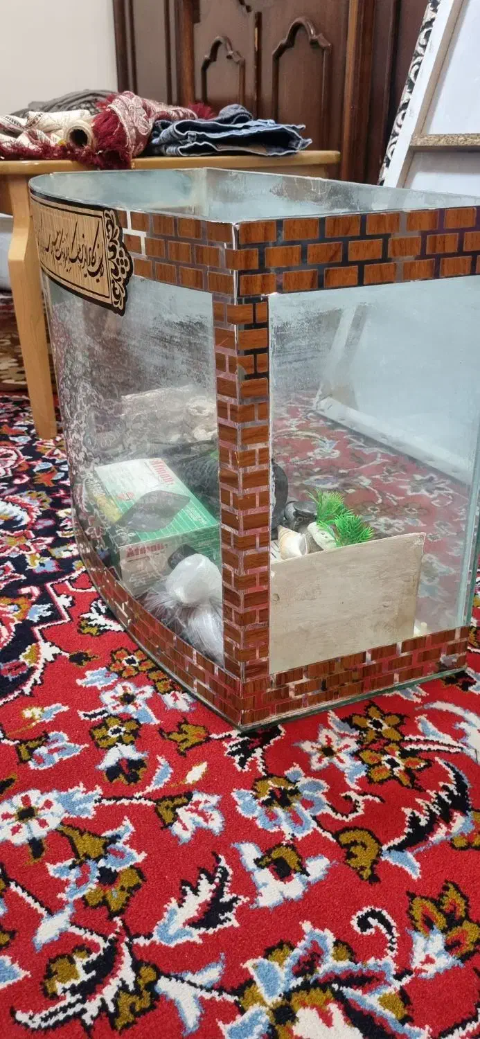 اکواریوم+وسایل|ماهی|کاشان, فاز ۱ ناجی آباد|دیوار