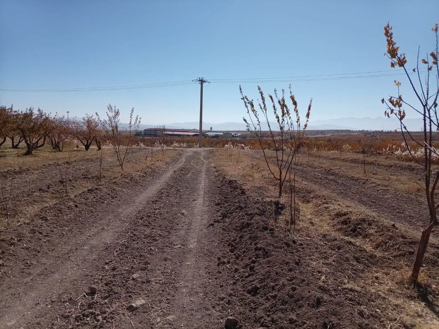 فروش|فروش دفتر صنعتی، کشاورزی، تجاری|سمیرم, |دیوار