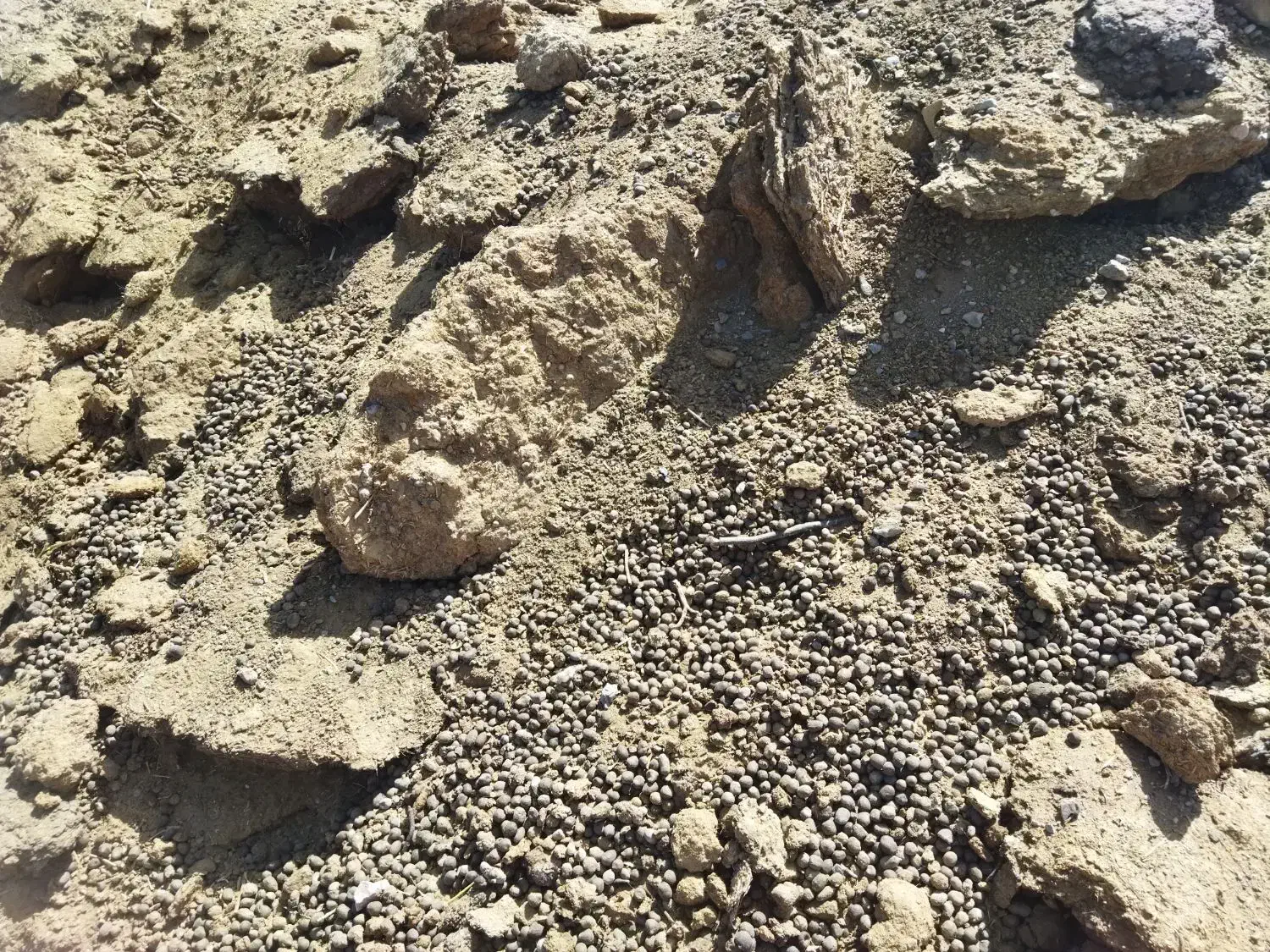 کود گوسفندی خالص برا باغ و گلخانه|خدمات باغبانی و درختکاری|خمینی‌شهر, |دیوار