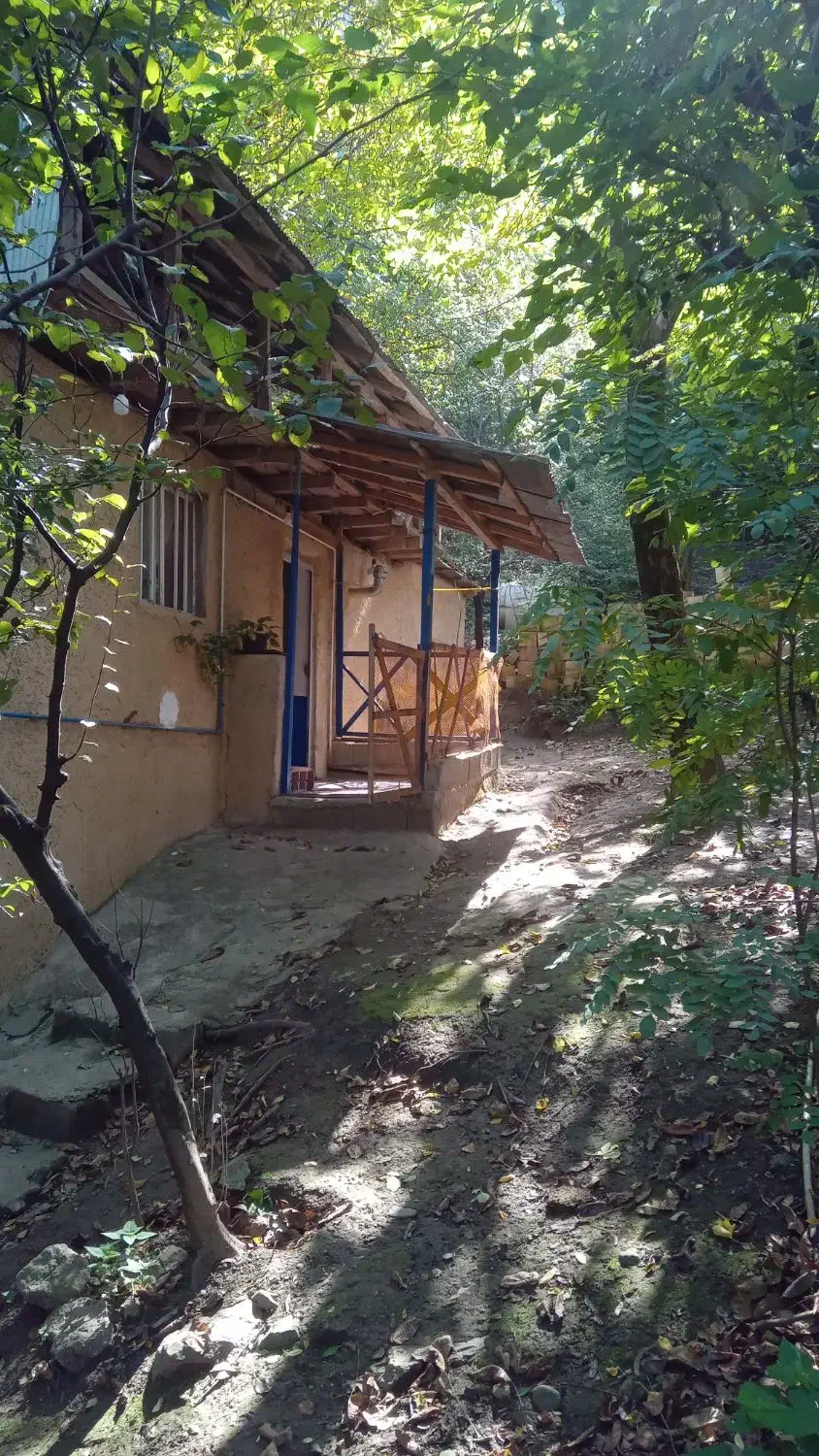 سوییت جنگلی|اجارهٔ کوتاهمدت آپارتمان و سوئیت|ماسوله, |دیوار