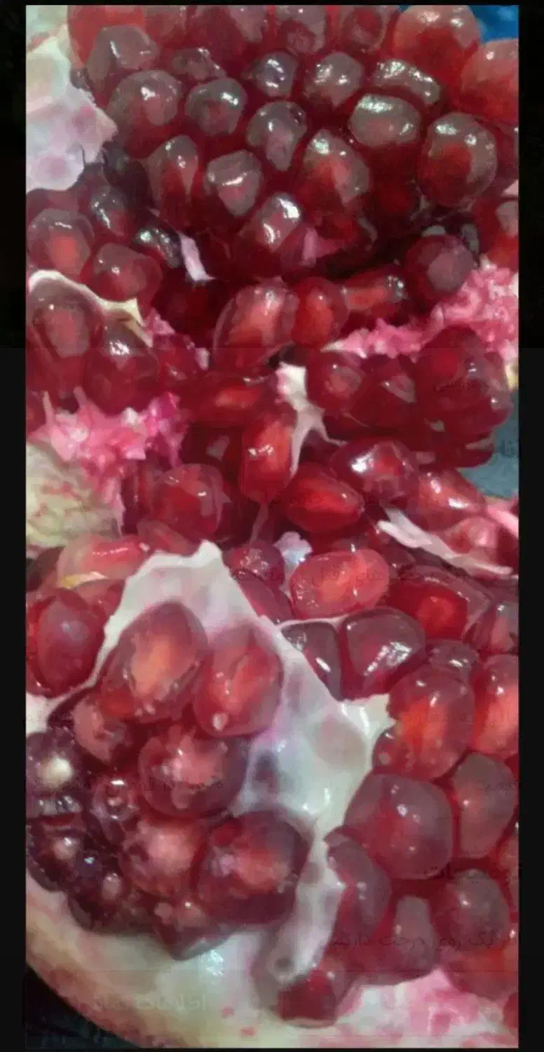 انار زیرتنگ سیاب کوهدشت|عمده‌فروشی|کوهنانی, |دیوار