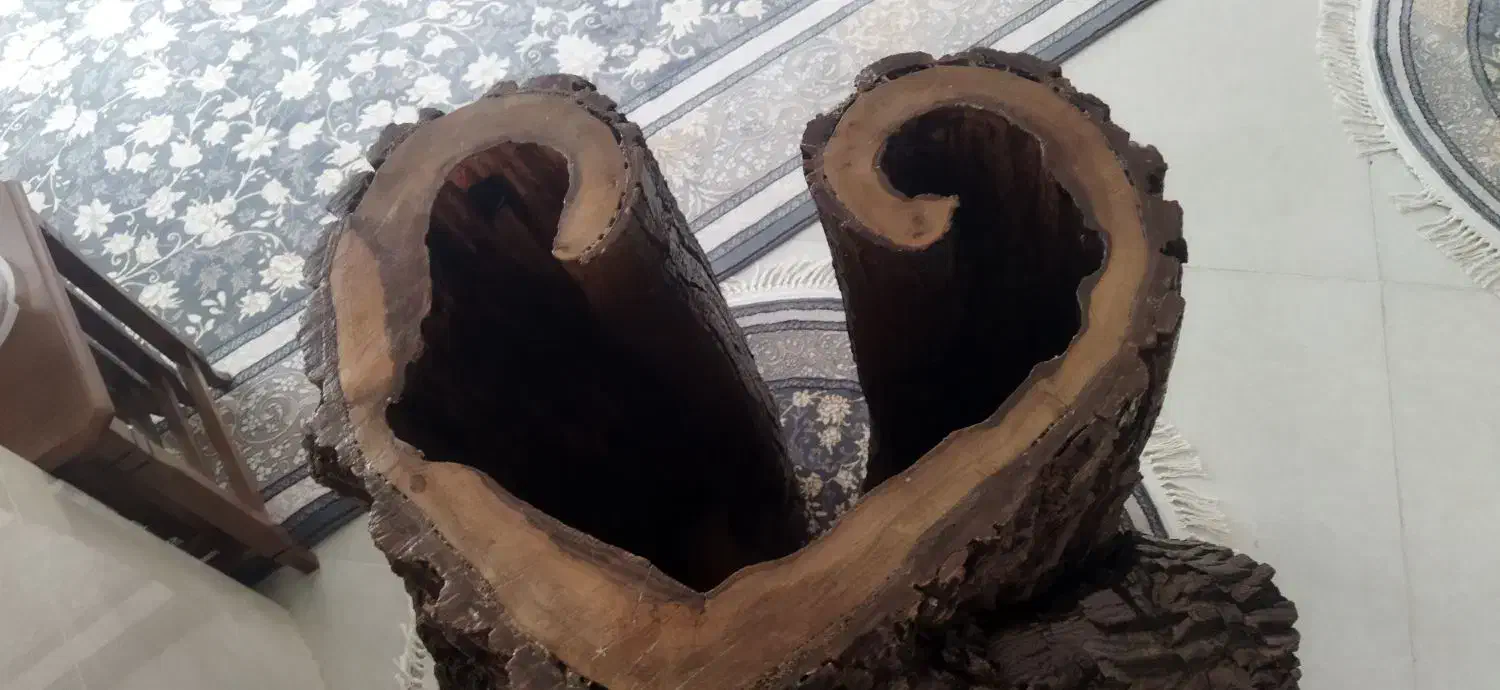 تنه درخت گردو مخصوص دکوری و میز|صنایع دستی و سایر لوازم تزئینی|ملایر, |دیوار