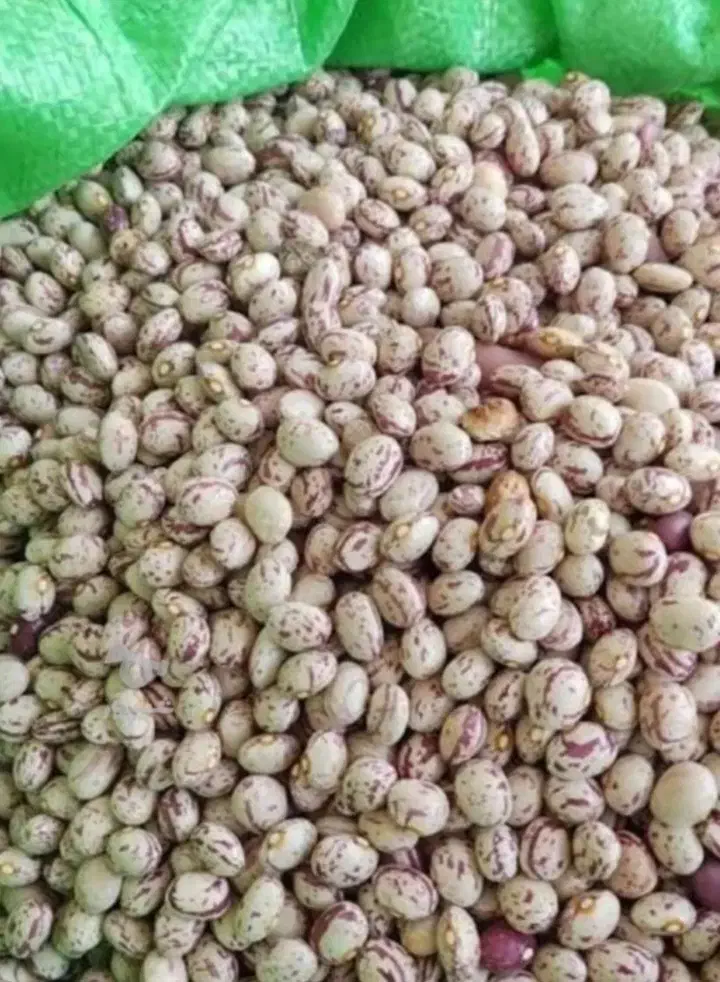 لوبیا چیتی خمین و ابلق درشت درجه یک|خوردنی و آشامیدنی|تهران, جوادیه|دیوار