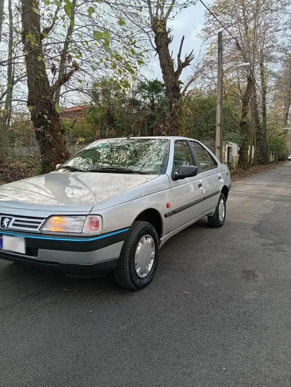 405مدل 95دوگانه|خودرو سواری و وانت|عباس‌آباد, |دیوار