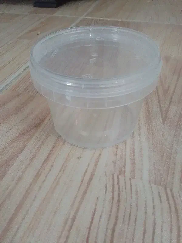 ظرف پلاستیکی درب دار|ظروف نگهدارنده، پلاستیکی، یک‌بارمصرف|لاهیجان, لیالستان|دیوار