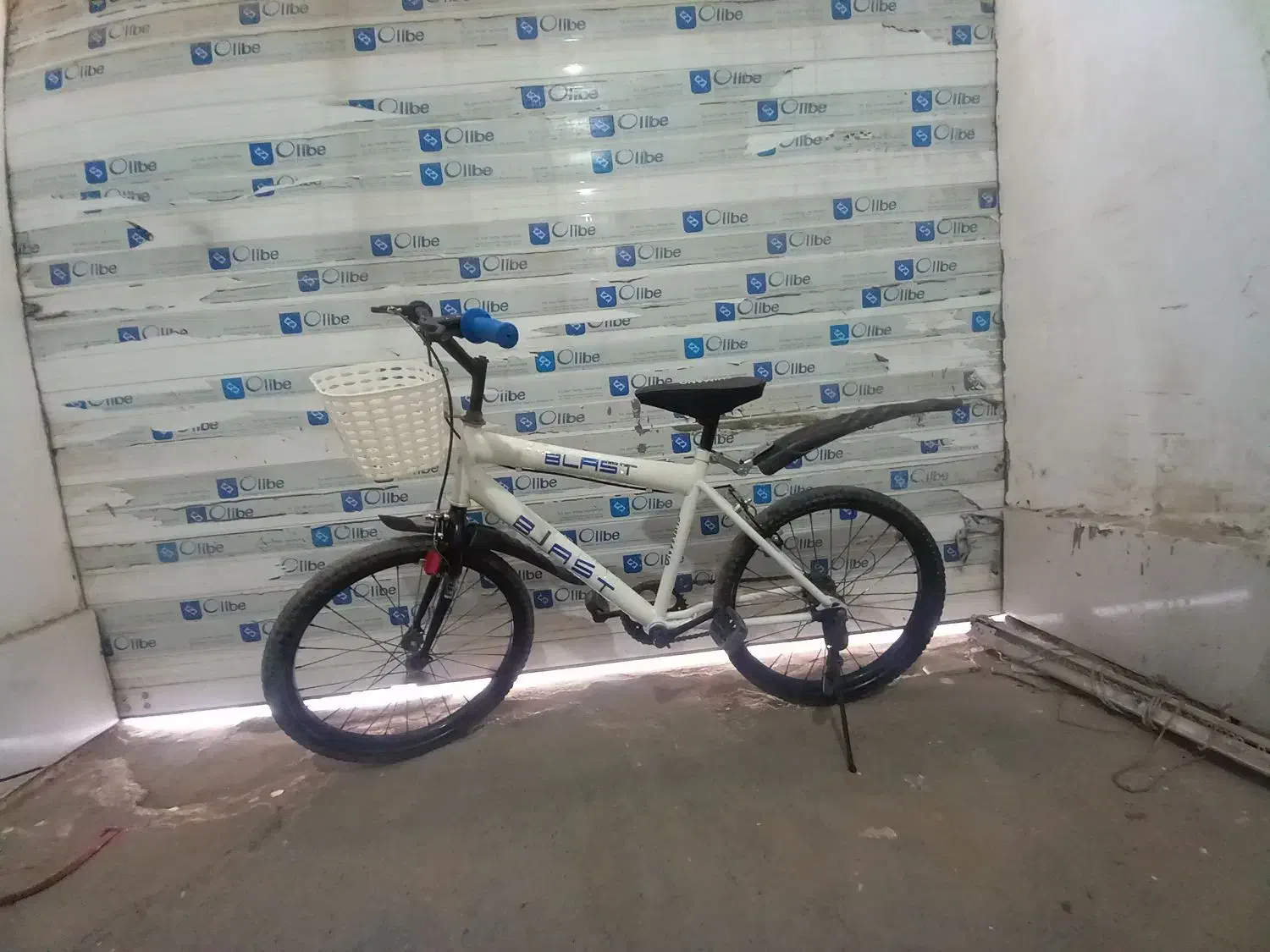 ۲۰ دوچرخ ه|دوچرخه، اسکیت، اسکوتر|تربت جام, شهرک معلم|دیوار