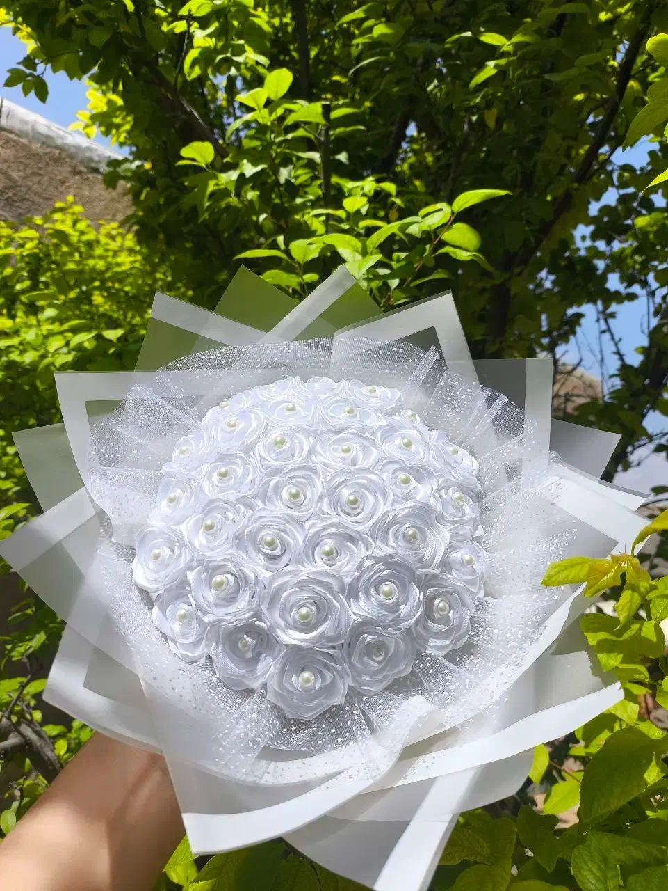 گل رز|گل و گیاه طبیعی|قشم, |دیوار