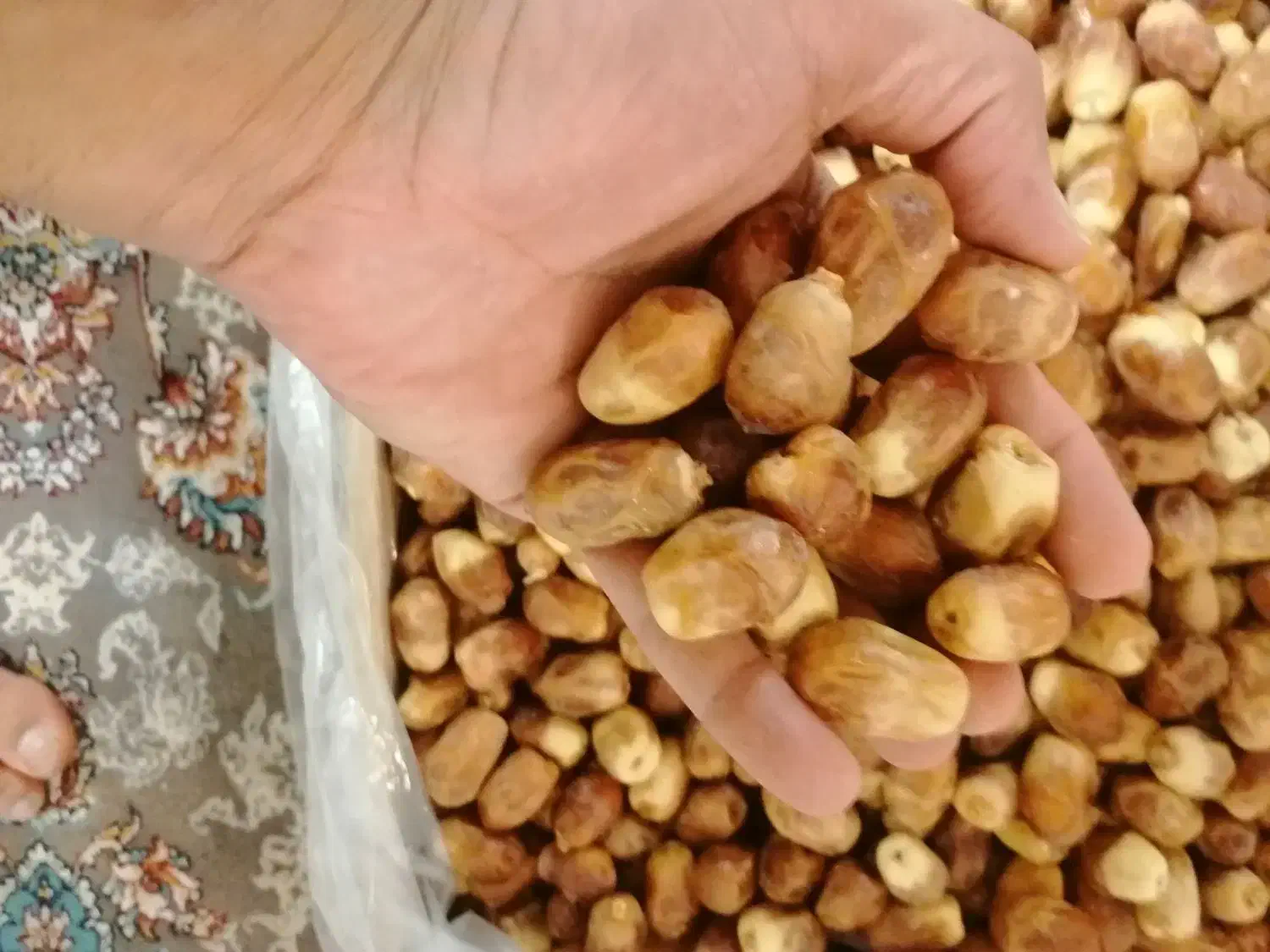 خرمای تازه زاهدی|خوردنی و آشامیدنی|تهران, تختی|دیوار