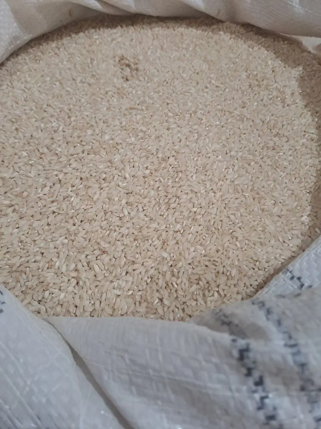 برنج عنبربو|خوردنی و آشامیدنی|دره شهر, |دیوار