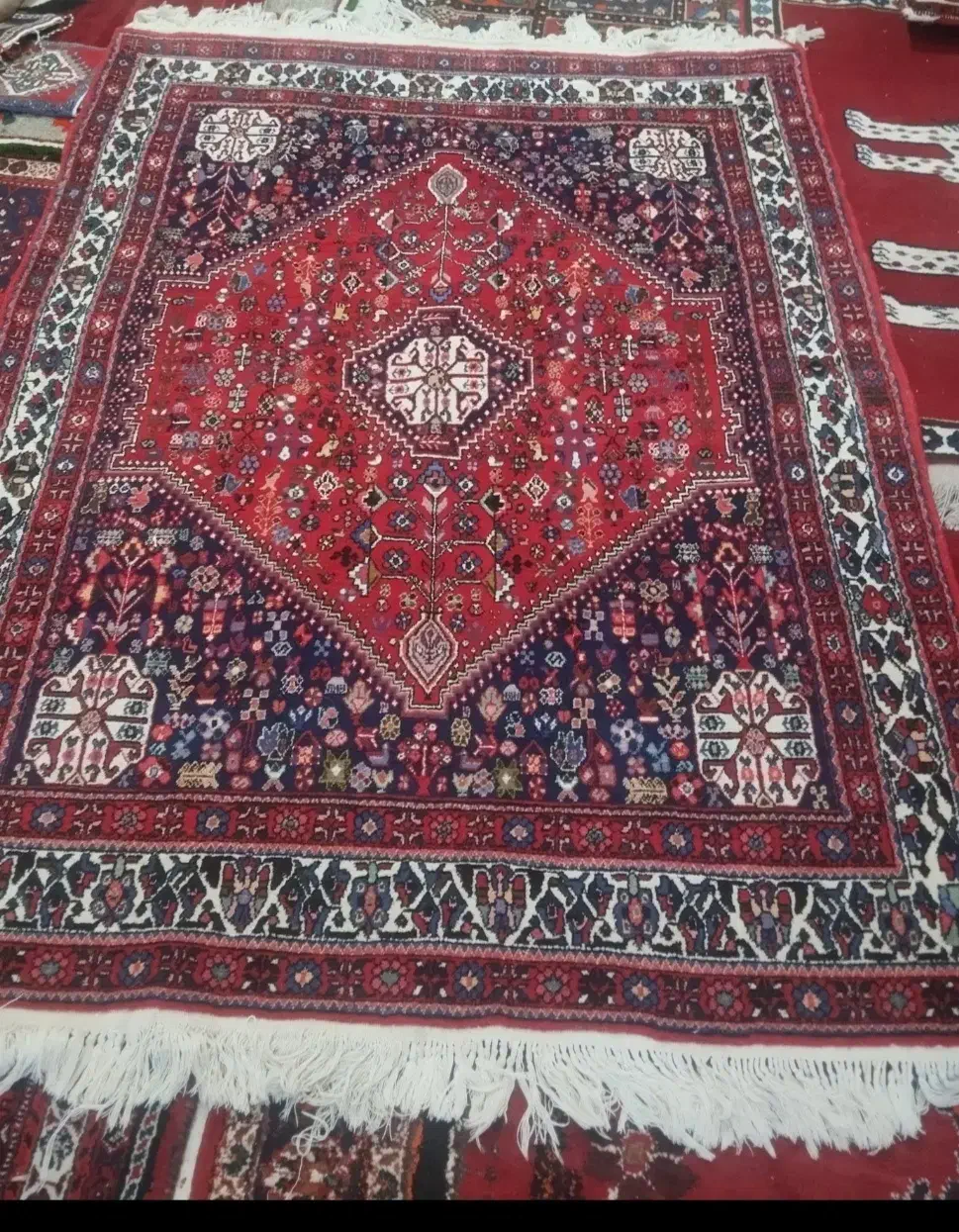 فروش فوری قالی|فرش|شیراز, شهرک رضوان|دیوار