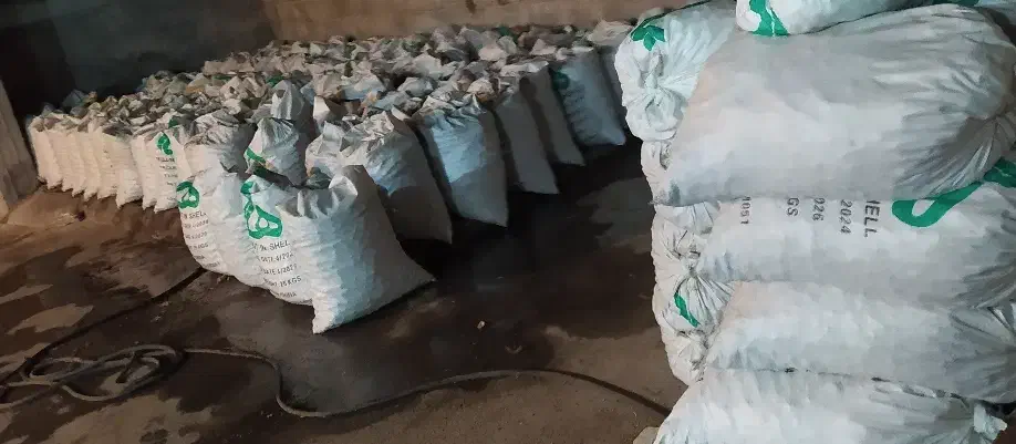 تعدادنامحدود خانم در منازل جهت شکستن و پاسازی گردو|استخدام صنعتی، فنی، مهندسی|گوگان, |دیوار
