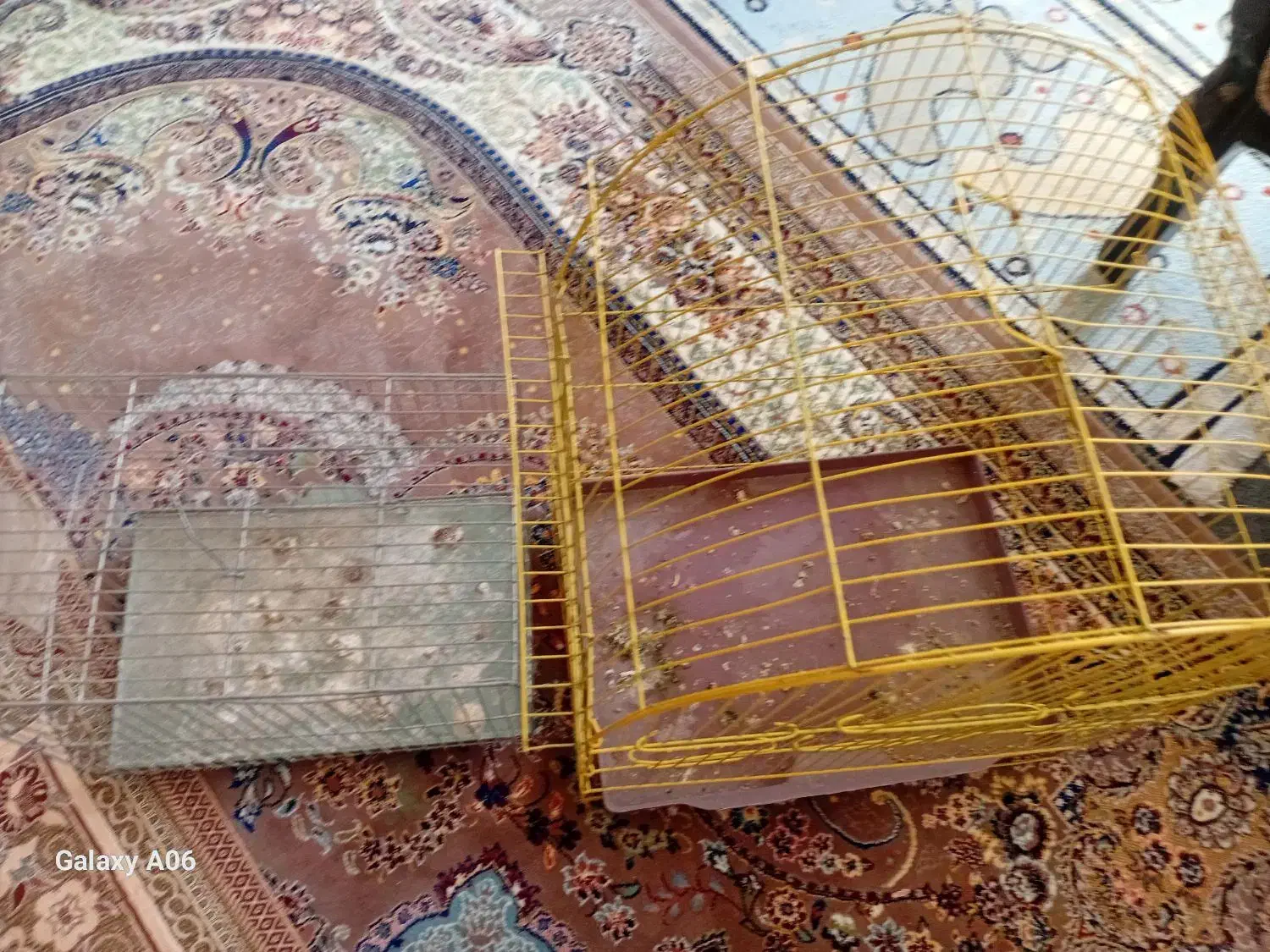 قفس|لوازم جانبی حیوانات|نقده, |دیوار