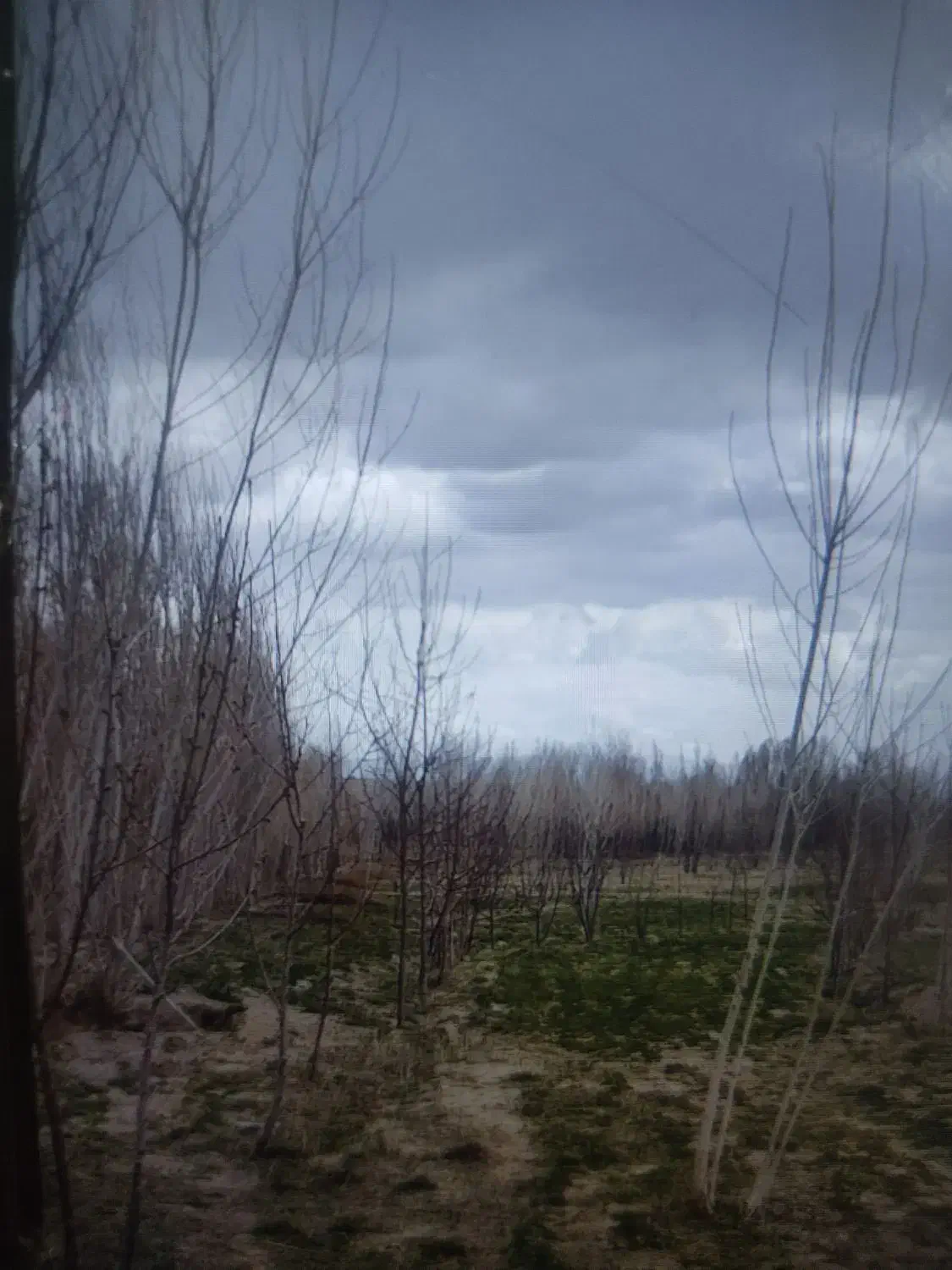 فروش باغ سنددار|فروش زمین و ملک کلنگی|نمین, |دیوار