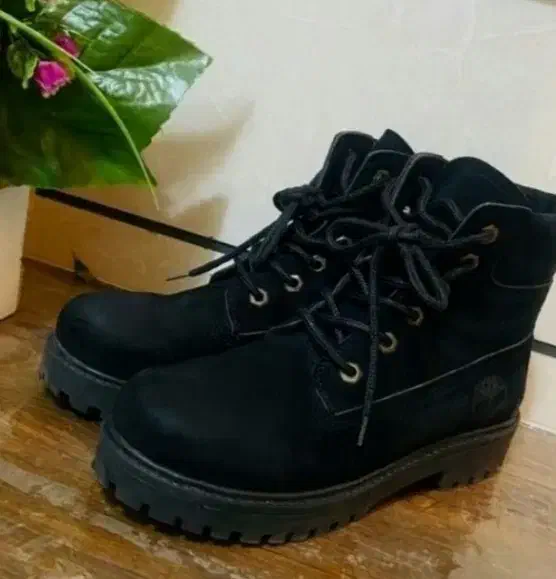 پوتین کاملا نو جعبه هم داره|کیف، کفش، کمربند|قزوین, |دیوار