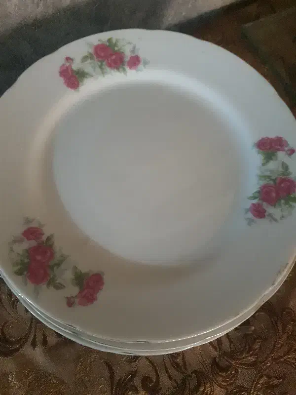 ۶ عدد بشقاب چینی ژاپن|ظروف سرو و پذیرایی|اندیشه, اندیشه فاز ۱|دیوار