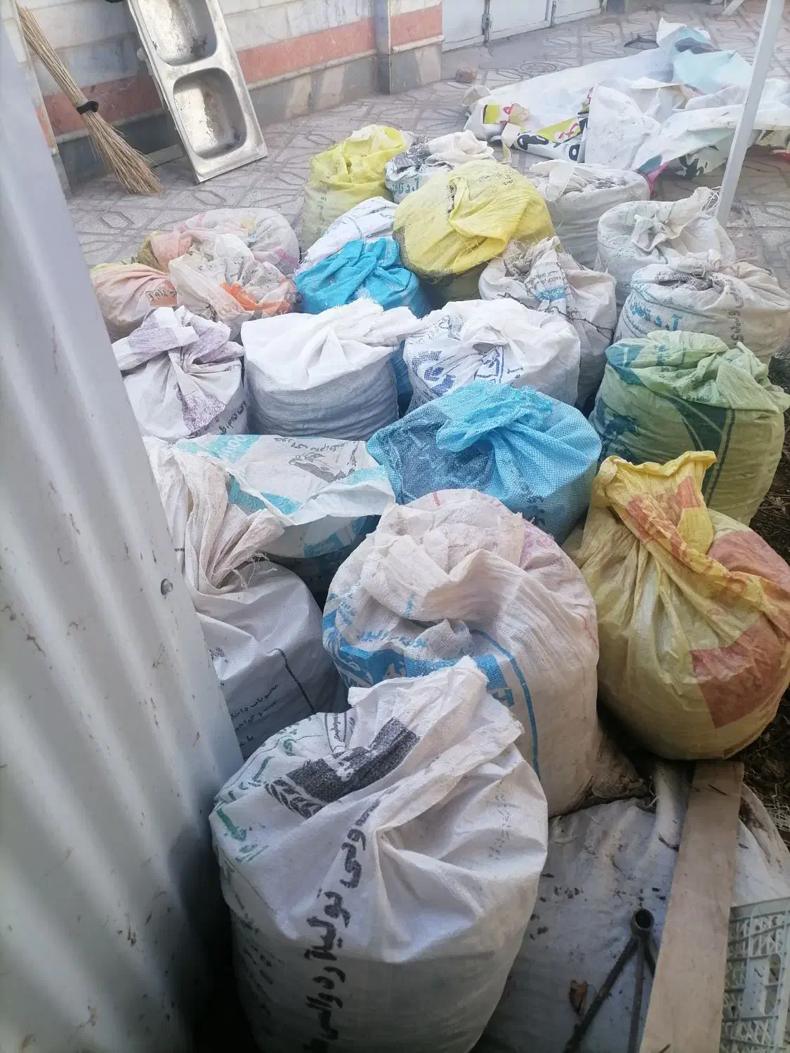 کبوتر|سگ|اسفراین, |دیوار