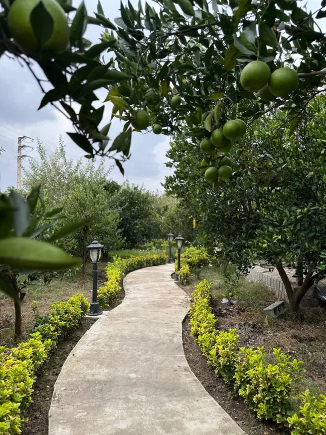 اجاره خونه باغ ناز|اجارهٔ کوتاه‌مدت ویلا و باغ|قائم‌شهر, |دیوار