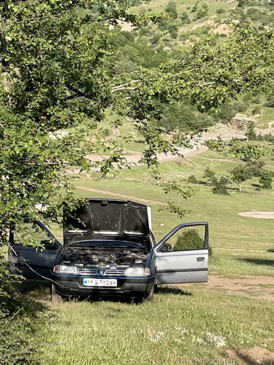 فروش خودرو ۴۰۵|خودرو سواری و وانت|کوهیخیل, |دیوار