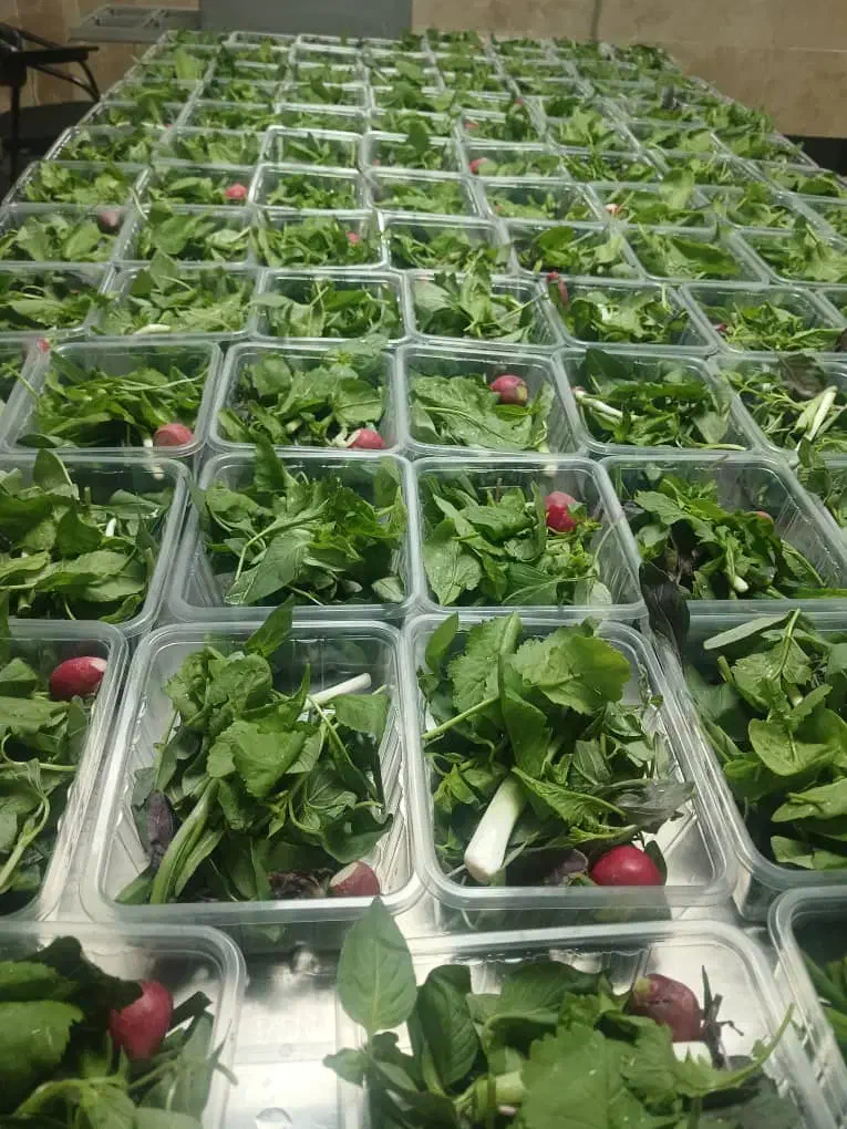 تولید انواع سالاد وسبزی|خوردنی و آشامیدنی|تهران, میدان میوه و تره‌بار مرکزی|دیوار