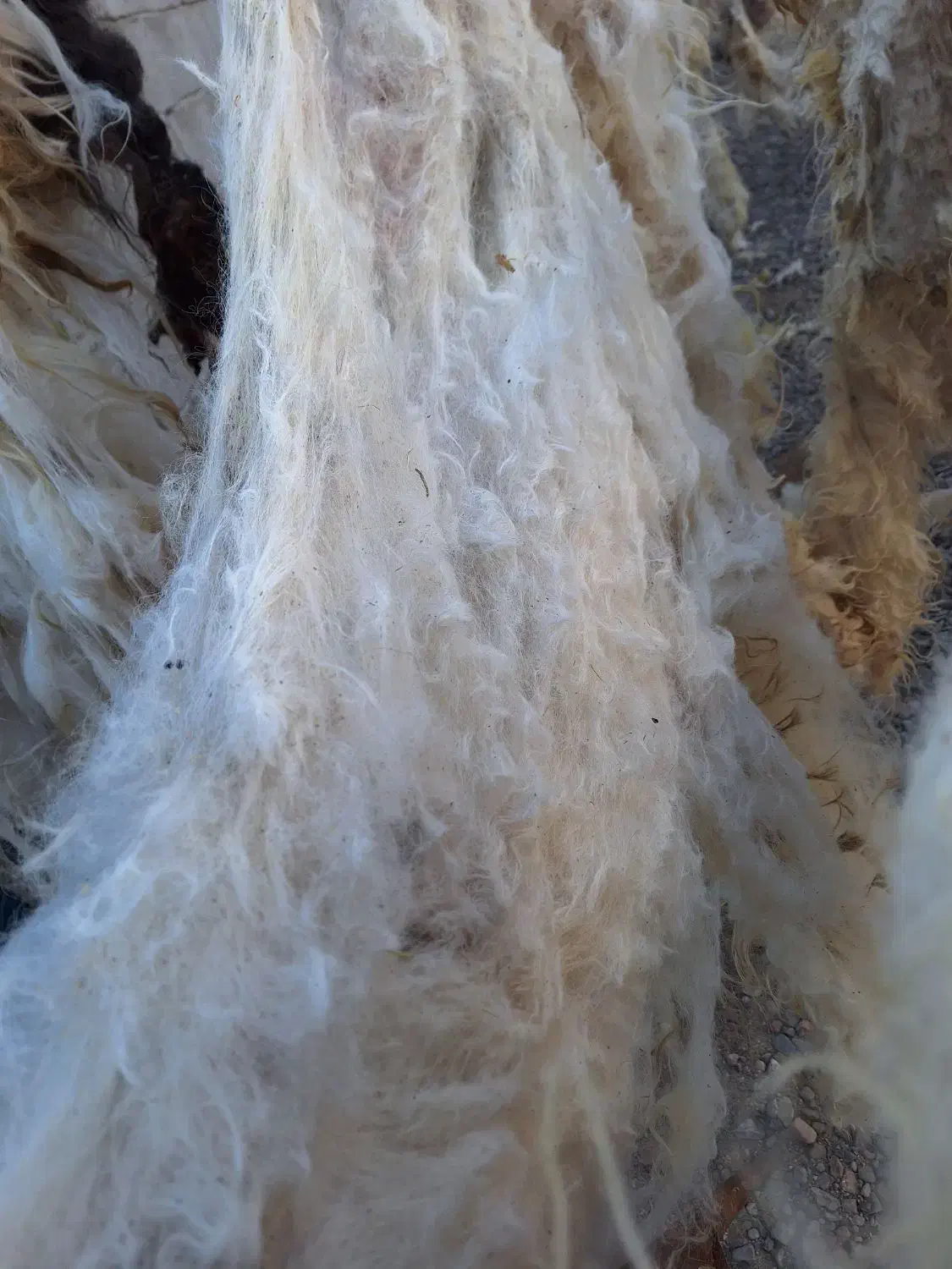 پشم فروشی|رختخواب، بالش، پتو|تبریز, |دیوار