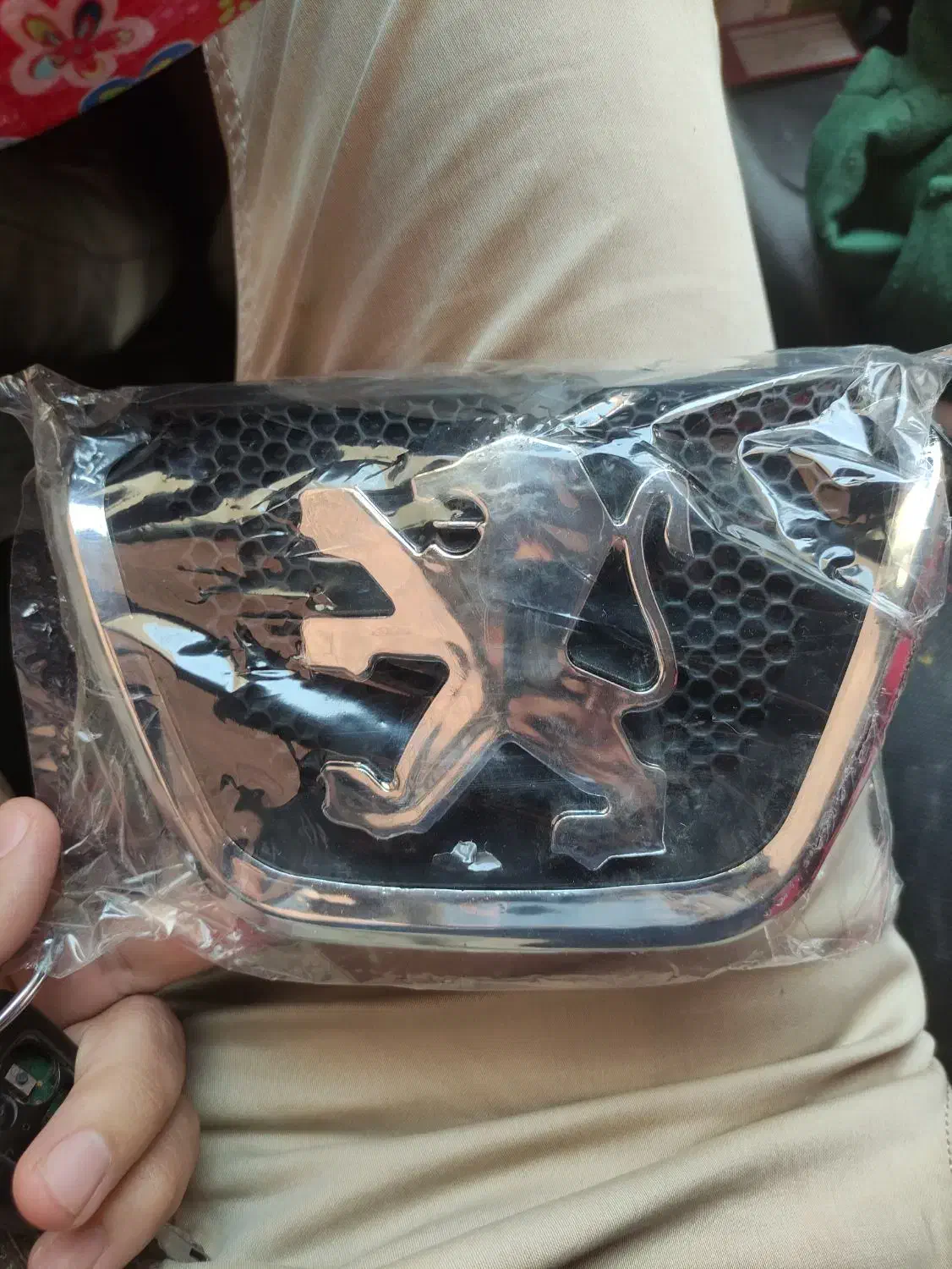 آرم جلو پنجره پژو ۲۰۶|قطعات یدکی و لوازم جانبی|اصفهان, محله سفلی|دیوار