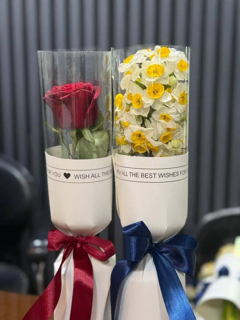 رز طلقی|گل و گیاه طبیعی|تهران, آهنگ|دیوار