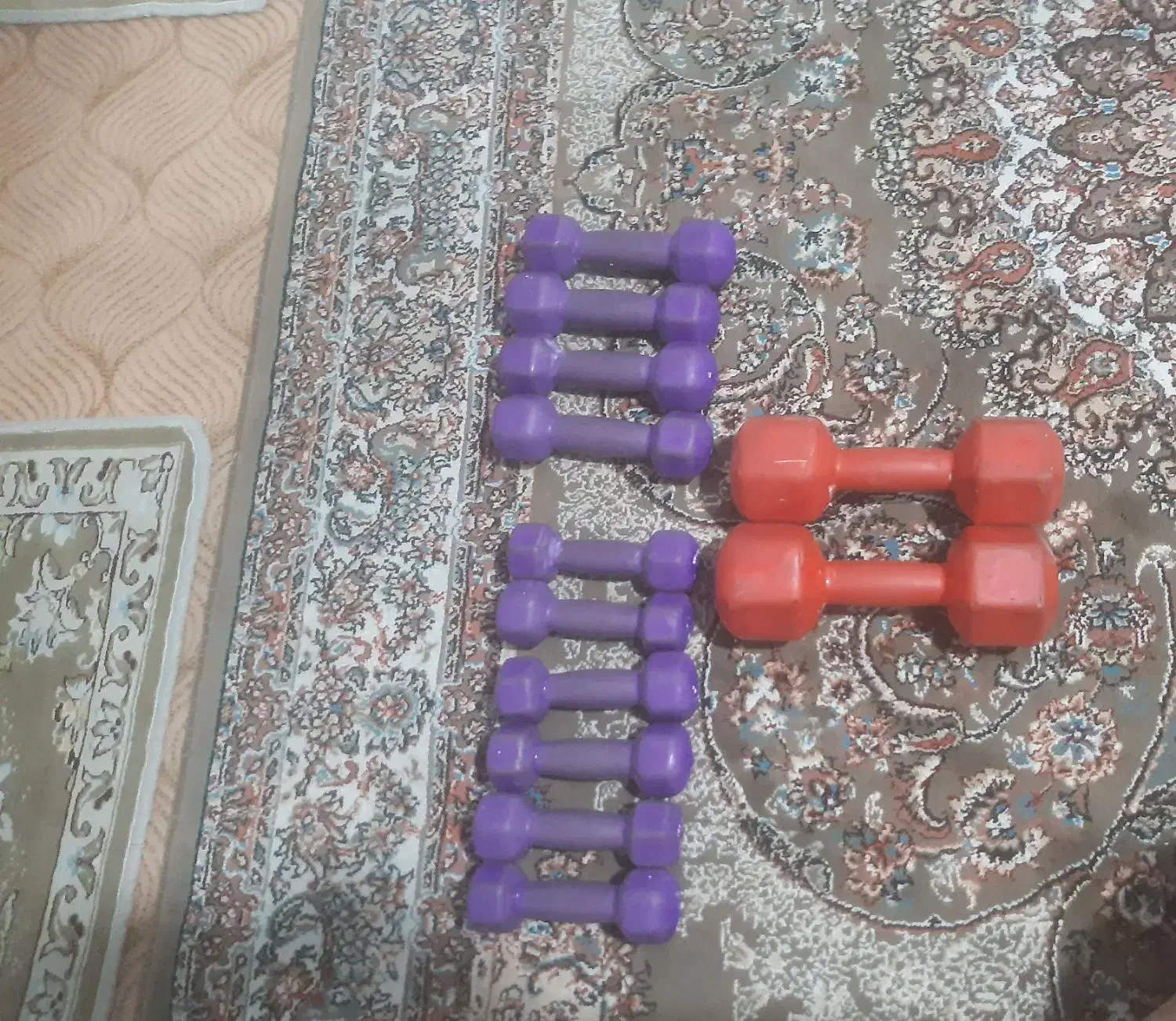 دمبل بانوان|تجهیزات ورزشی|کرمانشاه, |دیوار